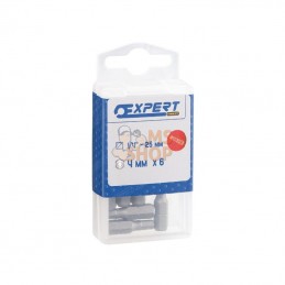 E113652; EXPERT; Emb. 1/4" L25mm 6 pans 3 mm x6; pièce detachée