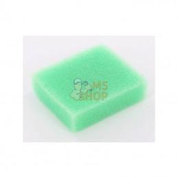 FGP456512; KRAMP; Filtre à air p/Homelite; pièce detachée