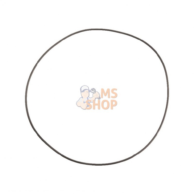 OR1901726290P001; KRAMP; Jo. t. 190,17 x 2,62 90 Shore; pièce detachée