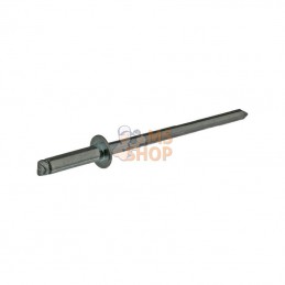BN310SSP001; KRAMP; Rivet aveugle en acier 3x10; pièce detachée