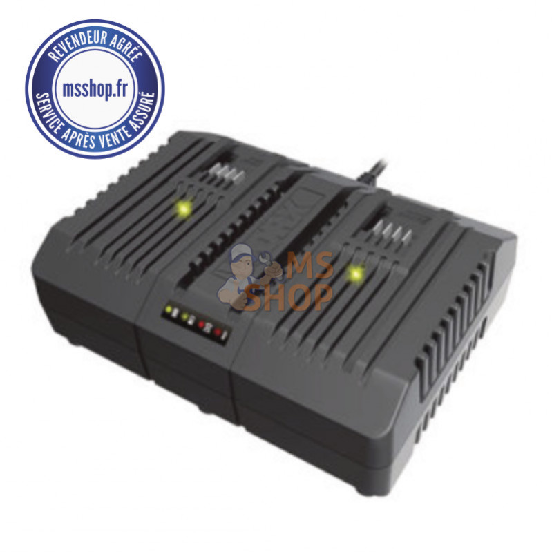 DOUBLE CHARGEUR DE BATTERIE 20 V - 4.0 Ah Li-Ion POWERSHARE WA3883 | WORX