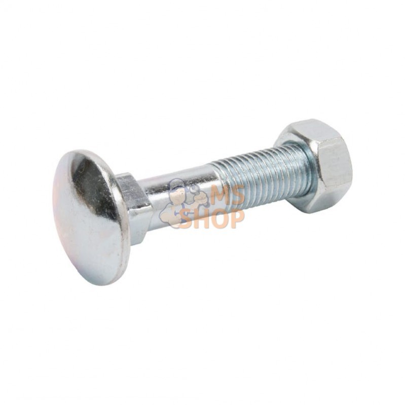 6031660P025; KRAMP; Vis tête bombée collet carré M16x60; pièce detachée 6031660P025; KRAMP; Vis tête bombée collet carré M16x60; pièce detachée