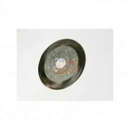 22001109N; KRAMP; Disque colza 72 trous Ø1,2mm DN7212; pièce detachée