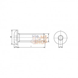 ISO7380640109; KRAMP; Vis tête bombée collet carré plate 6p creux M6x40 10.9; pièce detachée