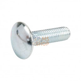 603830P001; KRAMP; Vis à t. bombée + écrou M8x30; pièce detachée
