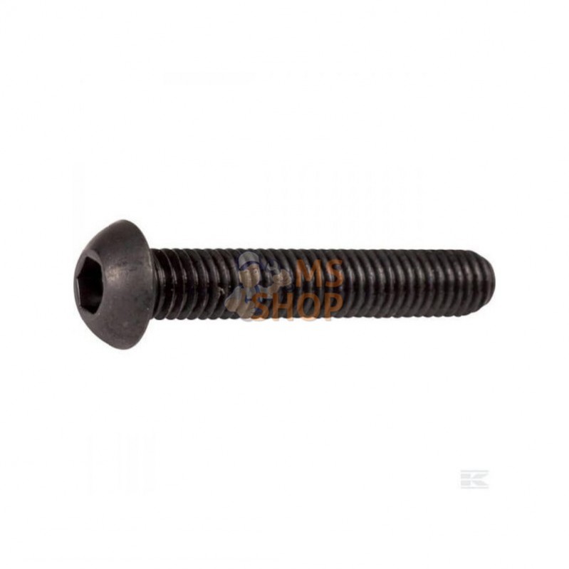 ISO7380ULF616B; KRAMP; Vis tête bombée collet carré plate 6p creux 6x16 10.9 noir; pièce detachée ISO7380ULF616B; KRAMP; Vis tête bombée collet carré plate 6p creux 6x16 10.9 noir; pièce detachée