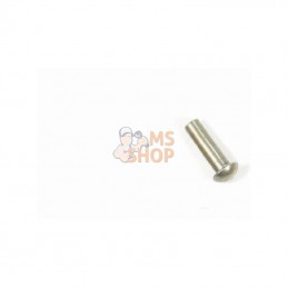 10176004N; KRAMP; Rivets 6x22; pièce detachée