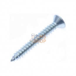7983C4232P200; KRAMP; Vis à tôle tête fraisée bombée cruciforme 4,2x32 galv.; pièce detachée