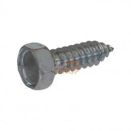7976C4819P001; KRAMP; Vis à tôle tête hexagonale4,8x19 zinc; pièce detachée