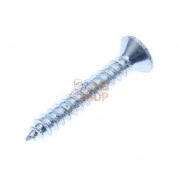 7983C2919P200; KRAMP; Vis à tôle tête fraisée bombée cruciforme 2,9x19 galv.; pièce detachée