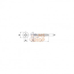 7981C2916RVSP100; KRAMP; Vis à tôle à tête cylindrique bombée cruciforme Philips 2,9x16 inox; pièce detachée