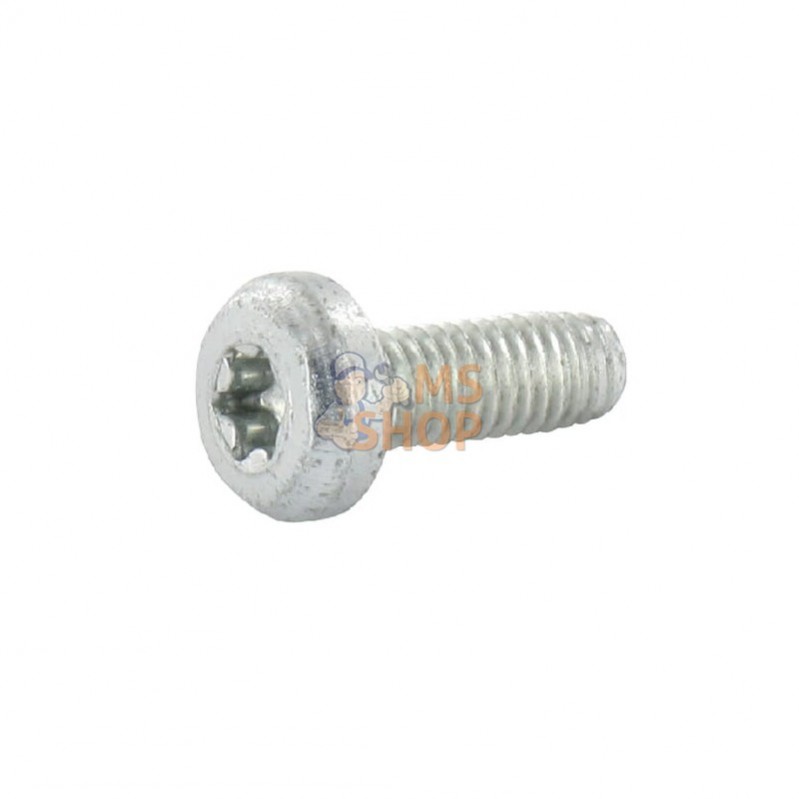 7500C616TXP001; KRAMP; Vis autoformeuse M6x16 Torx galv.; pièce detachée