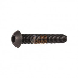 ISO7380410109B; KRAMP; Vis 6 p. cr. BK M4x10 10,9nr; pièce detachée