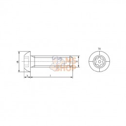 ISO7380TP840RVSB; KRAMP; Vis droite M8x40 Torx pin inox; pièce detachée