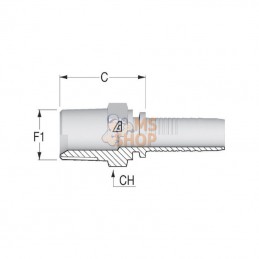 AGNNS5032; ALFAGOMMA; Embout M NS-DN50-2" NPT; pièce detachée