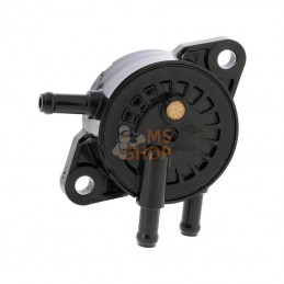 Pompe de carburant | B&S