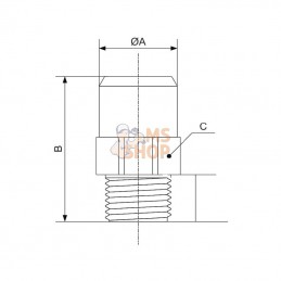 PVRRFM324034; PREVOST; Adaptat. Prevost 32x1" BSP M; pièce detachée