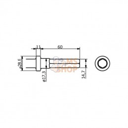 HS20C; UNBRANDED; Plat burin 14.8mm 6kt / Ø17.3; pièce detachée