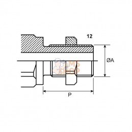 3CFPV1434UNFF; FASTER; Coupleur 3/4 UNF; pièce detachée