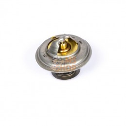 2485C036; PERKINS; Thermostat; pièce detachée