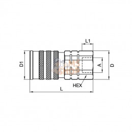 3810RV; PARKER; Coupleur fem. 3/8" RV Viton; pièce detachée
