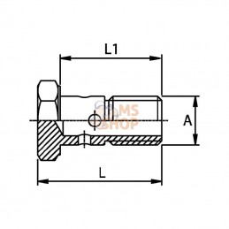 C056R1351; OLEODINAMICA MARCHESINI; Vis d'étranglement, G1/4" - réglable; pièce detachée