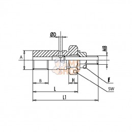 C056R1351; OLEODINAMICA MARCHESINI; Vis d'étranglement, G1/4" - réglable; pièce detachée