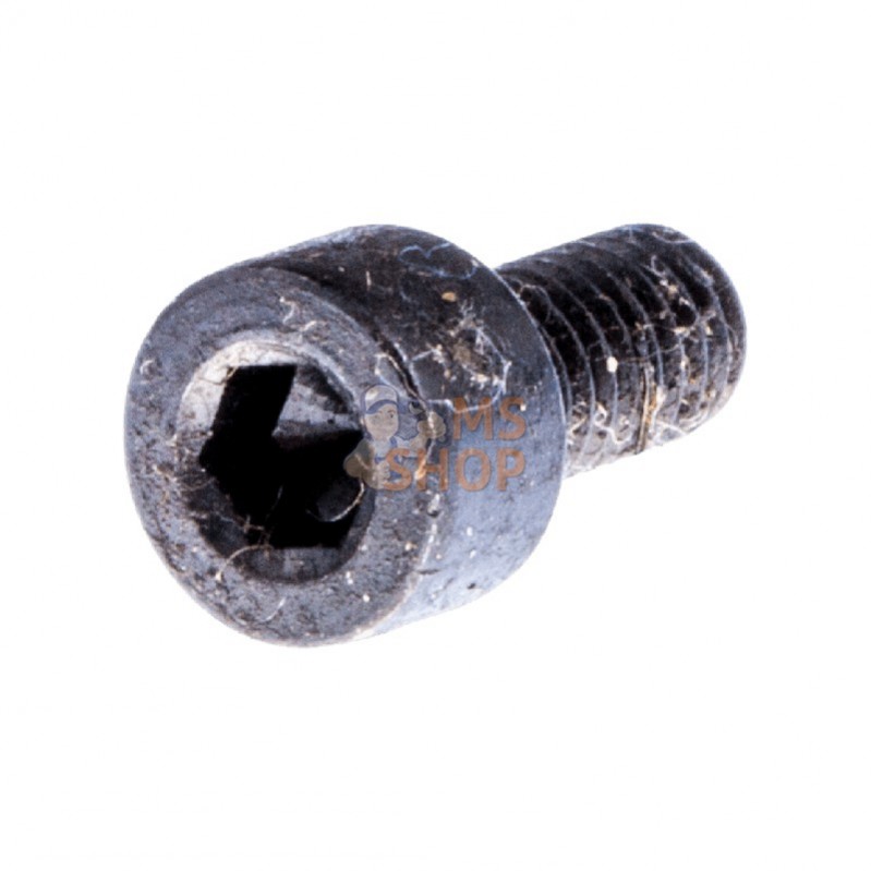 725528755; HUSQVARNA; VIS IHSCM | HUSQVARNA; pièce detachée