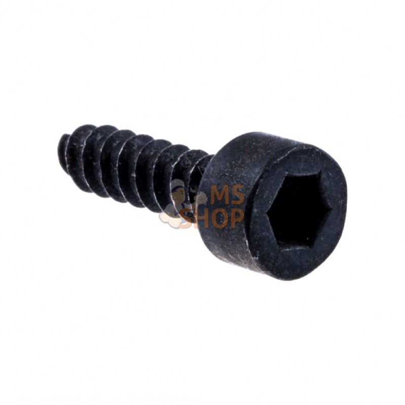 530015952; HUSQVARNA; VIS | HUSQVARNA; pièce detachée