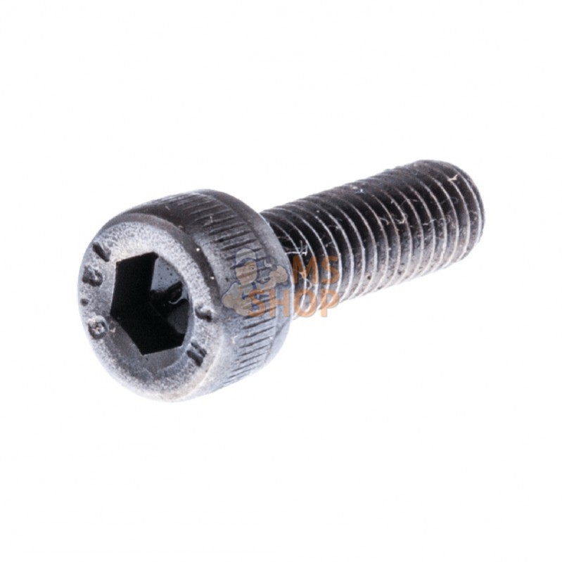 725532956; HUSQVARNA; VIS IHSCM | HUSQVARNA; pièce detachée