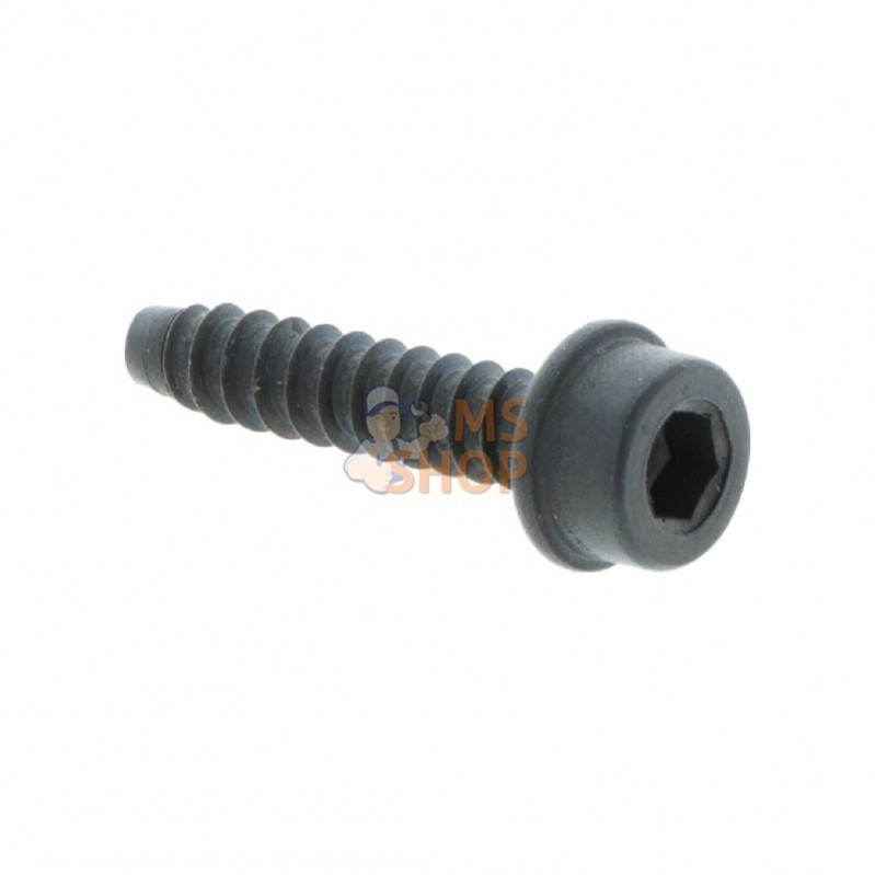 503216722; HUSQVARNA; VIS IHSCFT | HUSQVARNA; pièce detachée