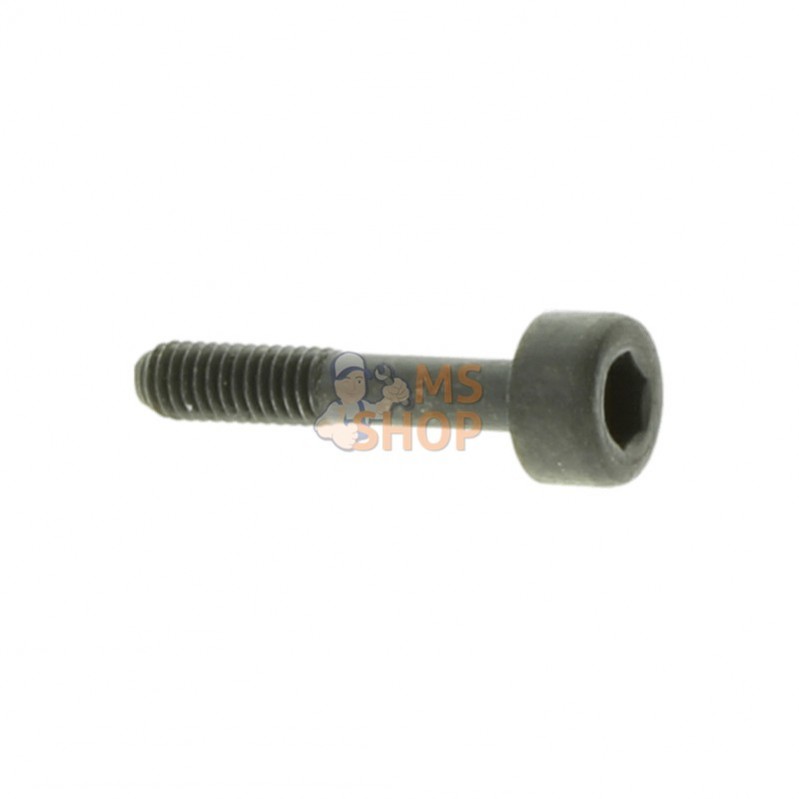 503202822; HUSQVARNA; SCREW IHSCMO | HUSQVARNA; pièce detachée