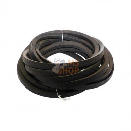 8113623205; JF; Jeu de 4 courroies trapézoïdales; pièce detachée