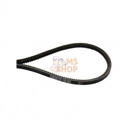 8113629805; JF; Kit de courroies trapézoïdales (3 pc.); pièce detachée