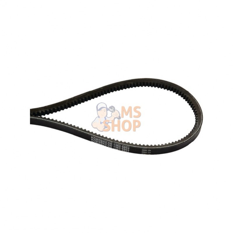 8113629805; JF; Kit de courroies trapézoïdales (3 pc.); pièce detachée