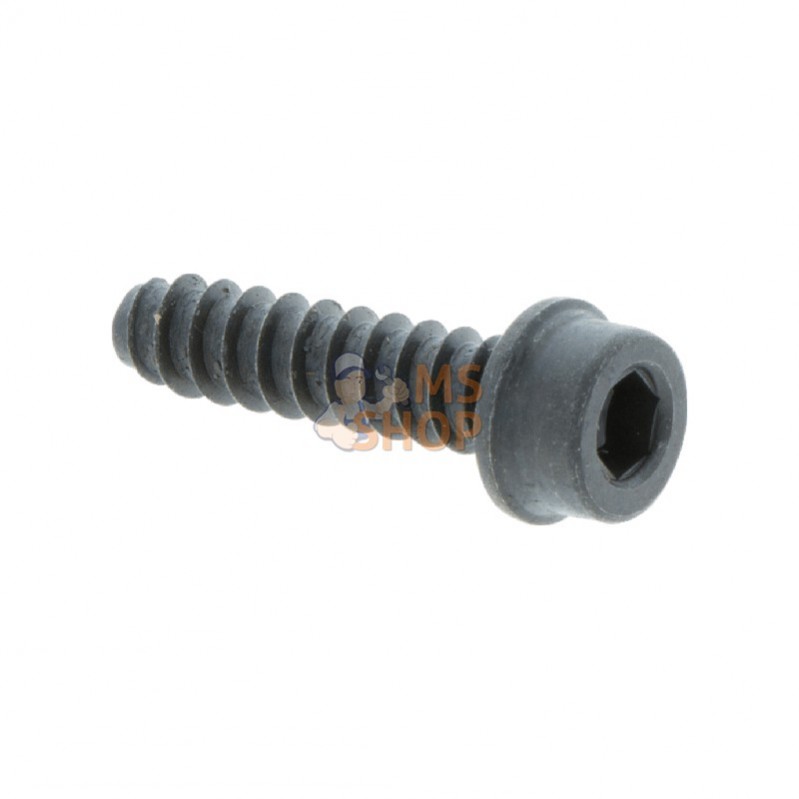 503210622; HUSQVARNA; VIS IHSCT | HUSQVARNA; pièce detachée