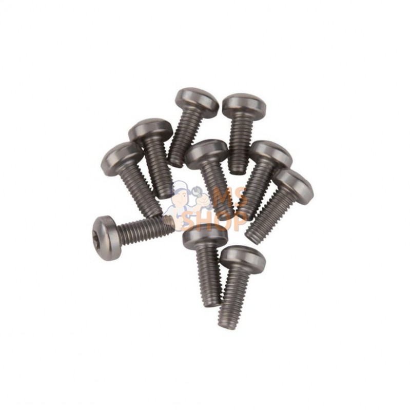 5623480; REMA TIP TOP; Schrader VIS TORX POUR 562 3490; pièce detachée