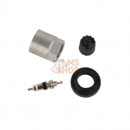 5623643; REMA TIP TOP; Schrader TPMS parts pour soupape 65656; pièce detachée