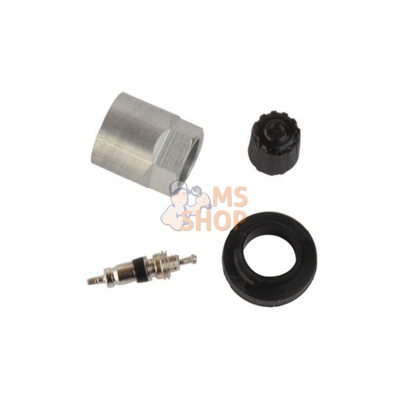 5623643; REMA TIP TOP; Schrader TPMS parts pour soupape 65656; pièce detachée