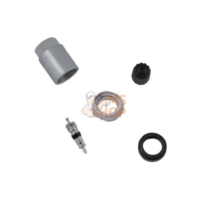 5623648; REMA TIP TOP; Schrader TPMS parts pour soupape 66699; pièce detachée