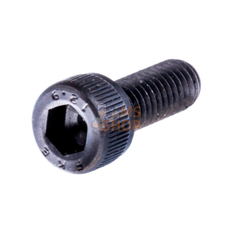 725536855; HUSQVARNA; VIS IHSCM | HUSQVARNA; pièce detachée