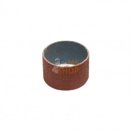 5955514; REMA TIP TOP; RTT bague emeri de rechange es 45 grain; pièce detachée