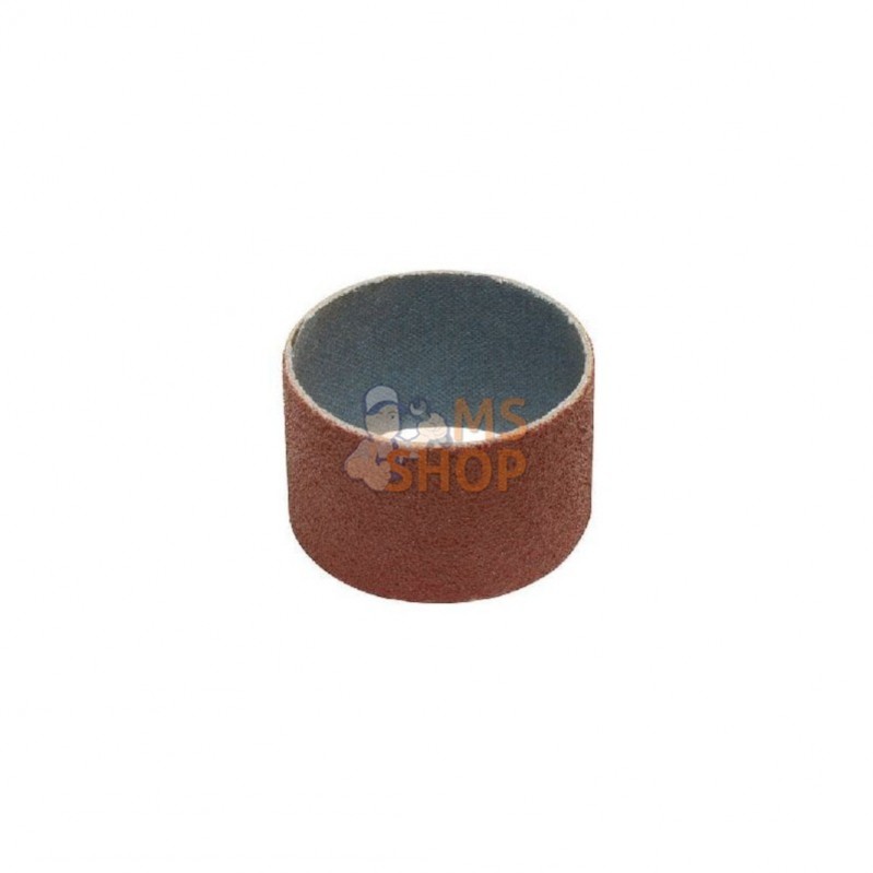 5955514; REMA TIP TOP; RTT bague emeri de rechange es 45 grain; pièce detachée