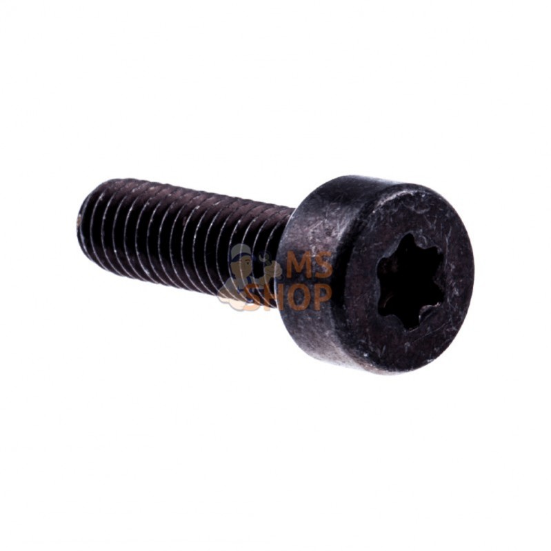 525762501; HUSQVARNA; VIS ITXSCM | HUSQVARNA; pièce detachée