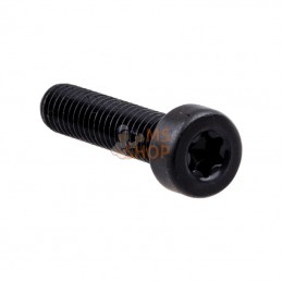 544218401; HUSQVARNA; VIS ITXSCM | HUSQVARNA; pièce detachée