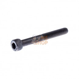 725538055; HUSQVARNA; VIS IHSCM | HUSQVARNA; pièce detachée