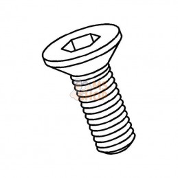 SPSHP19; I TOOLS; Vis pour plaque inférieure; pièce detachée
