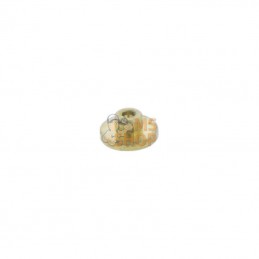 503592750; HUSQVARNA; KIT | HUSQVARNA; pièce detachée