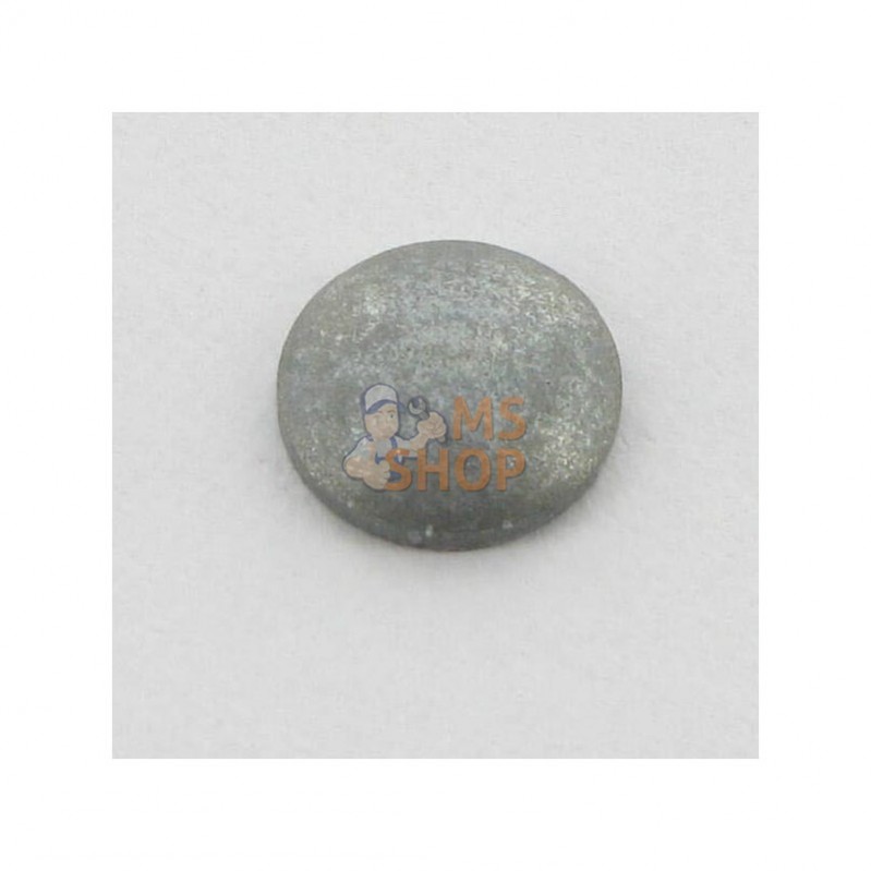 FGP012294; KRAMP; Plaquette de fermeture p/ Walbro 88-110; pièce detachée