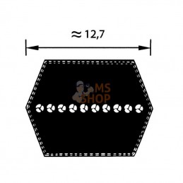 FGP013803; KRAMP; Courroie trapézoidale AA105; pièce detachée